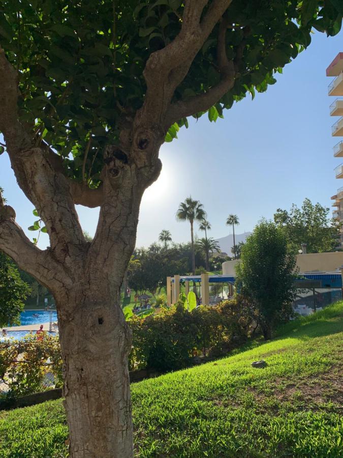 Apartmán Minerva Benalmádena Exteriér fotografie